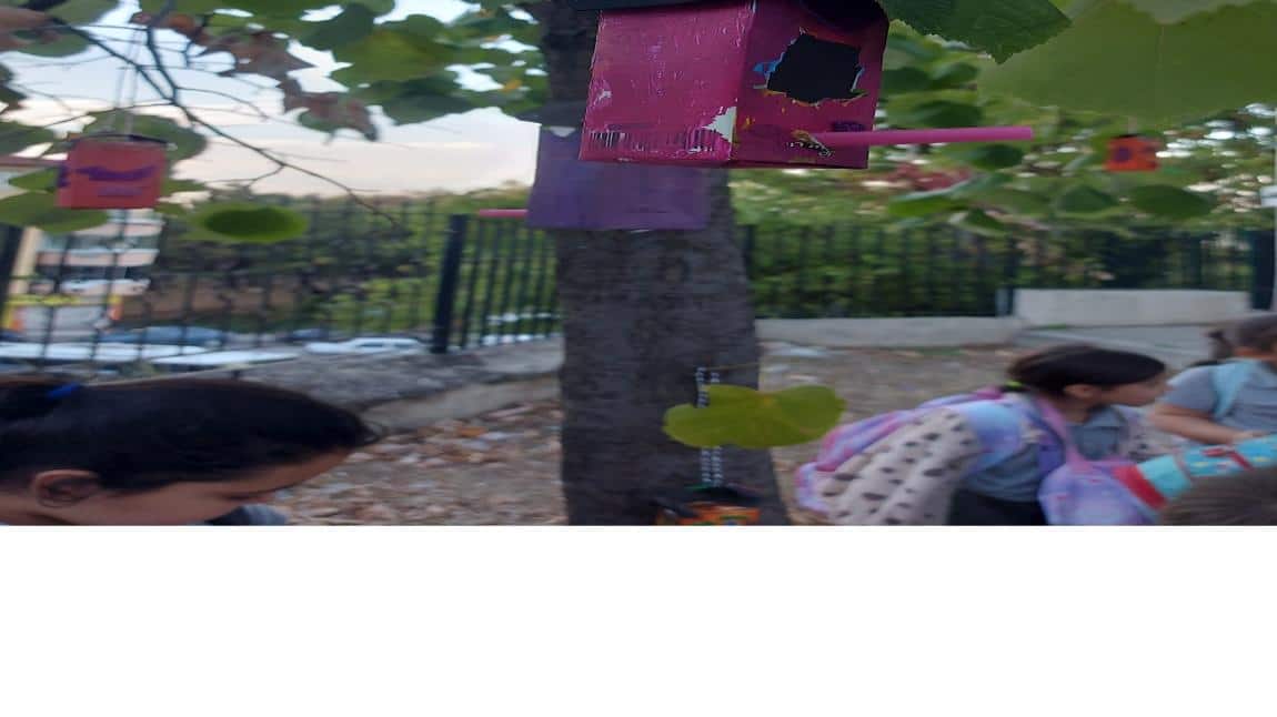 07-10-2025